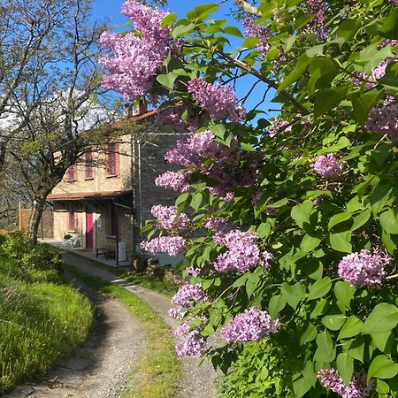 La Lupa E L'Orso Berceto Exterior foto