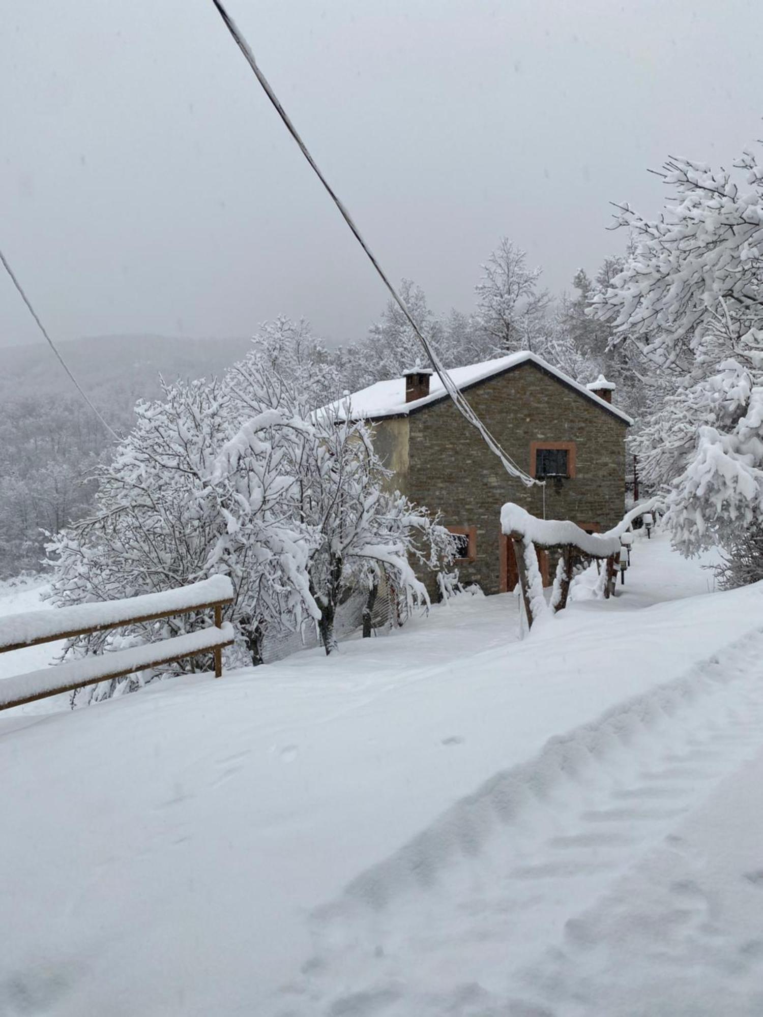La Lupa E L'Orso Berceto Exterior foto