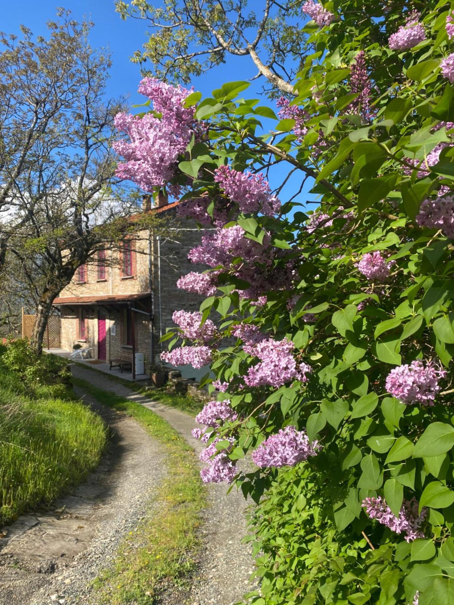 La Lupa E L'Orso Berceto Exterior foto